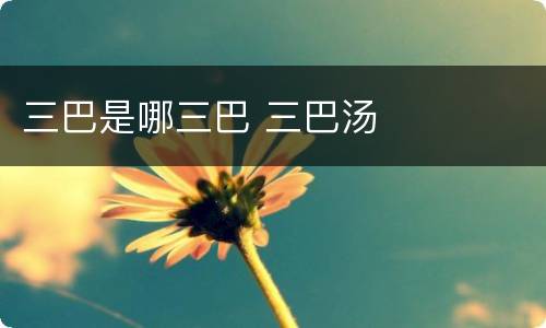 三巴是哪三巴 三巴汤