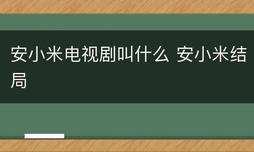 安小米电视剧叫什么 安小米结局