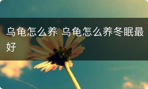 乌龟怎么养 乌龟怎么养冬眠最好