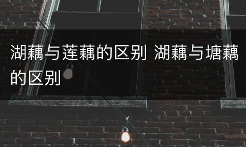 湖藕与莲藕的区别 湖藕与塘藕的区别