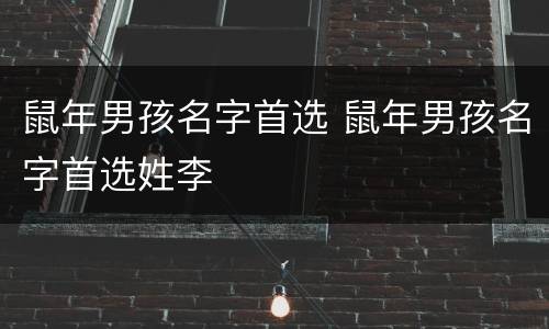 鼠年男孩名字首选 鼠年男孩名字首选姓李