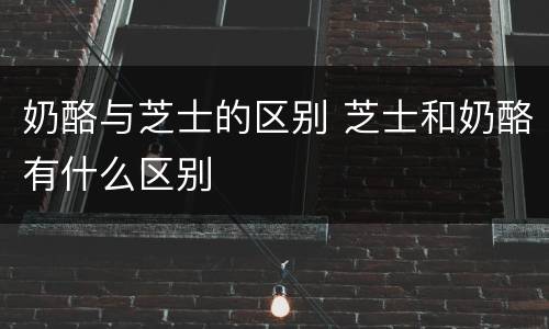 奶酪与芝士的区别 芝士和奶酪有什么区别