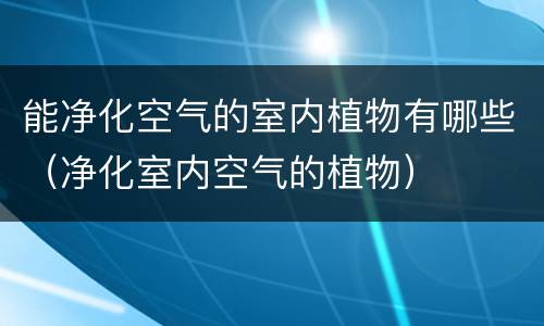 能净化空气的室内植物有哪些（净化室内空气的植物）