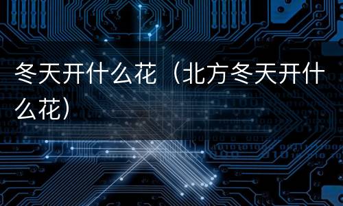 冬天开什么花（北方冬天开什么花）