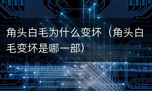 角头白毛为什么变坏（角头白毛变坏是哪一部）