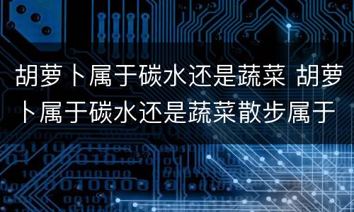 胡萝卜属于碳水还是蔬菜 胡萝卜属于碳水还是蔬菜散步属于有氧运动吗